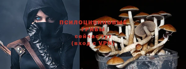 СК Балабаново