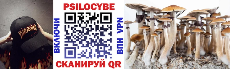 Псилоцибиновые грибы Psilocybe  Безенчук 